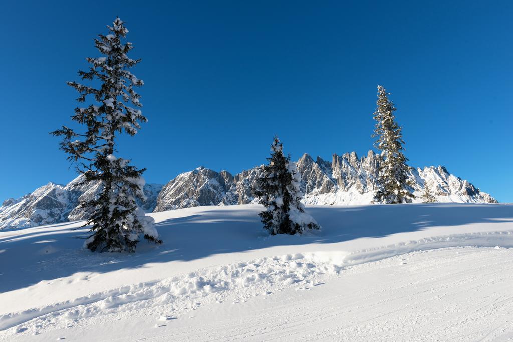 Ferienwohnung Das Sonneck Mühlbach am Hochkönig Exterior foto